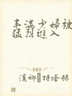 丰满少妇被粗大猛烈进入