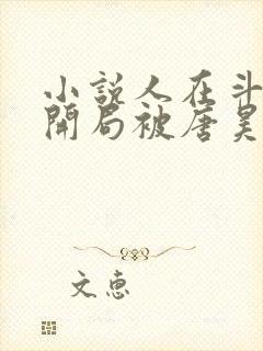 小说人在斗罗,开局被唐昊抛弃