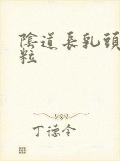 阴道长乳头状颗粒