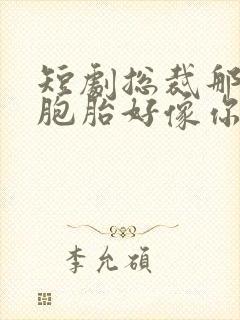 短剧总裁那对双胞胎好像你