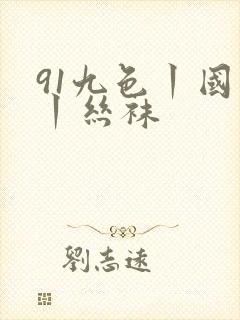 91九色丨国产丨丝袜