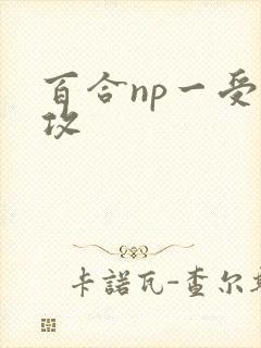 百合np一受多攻