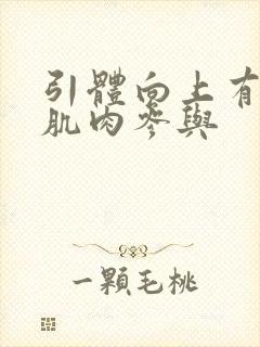 引体向上有哪些肌肉参与封面