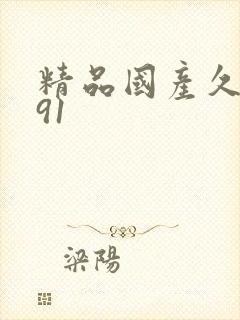 精品国产久久久91