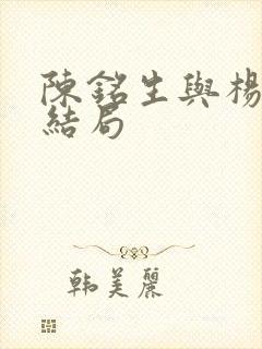 陈铭生与杨昭的结局