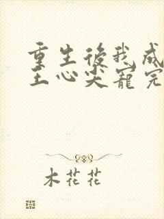 重生后我成了傻王心尖宠完整版