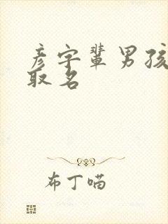 彦字辈男孩最佳取名