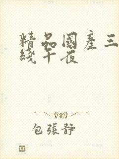 精品国产三级在线午夜