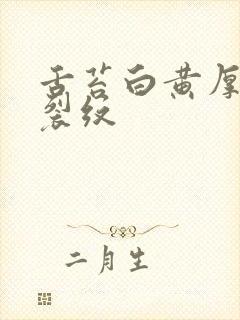 舌苔白黄厚腻有裂纹