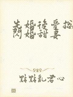 先婚后爱总裁的闪婚甜妻