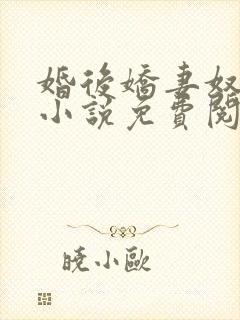 婚后娇妻奴调教小说免费阅读封面