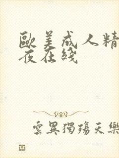 欧美成人精品午夜在线