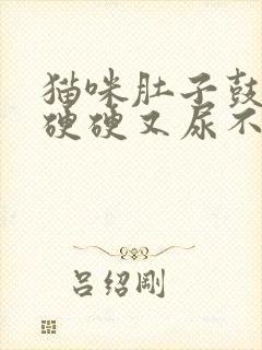 猫咪肚子鼓鼓的硬硬又尿不出怎么回事封面