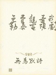 免费观看我的阿勒泰电视剧