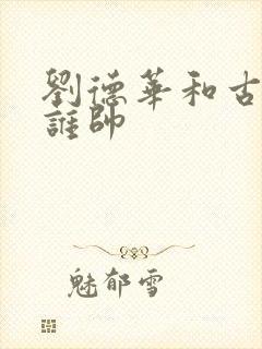 刘德华和古天乐谁帅封面