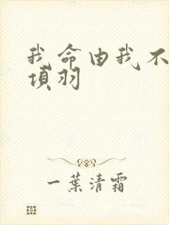 我命由我不由天项羽