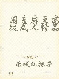 国产麻豆高清一级成人精品