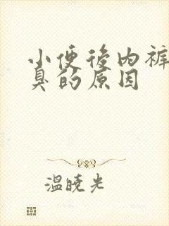 小便后内裤有骚臭的原因