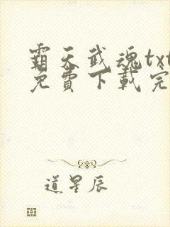 霸天武魂txt免费下载完本