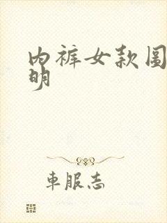 内裤女款图片透明