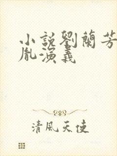 小说刘兰芳赵匡胤演义