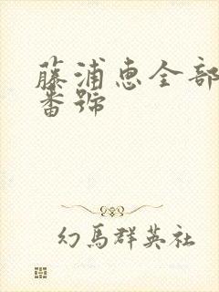 藤浦惠全部作品番号