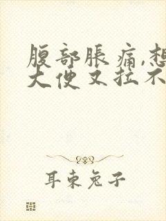 腹部胀痛,想拉大便又拉不出来是什么原因