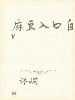 麻豆入口自拍av