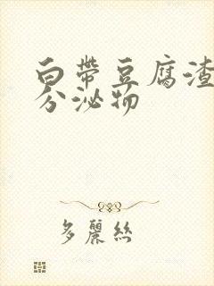 白带豆腐渣褐色分泌物