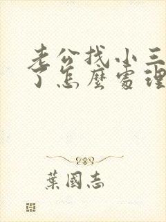 老公找小三怀孕了怎么处理