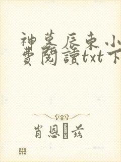 神墓辰东小说免费阅读txt下载封面