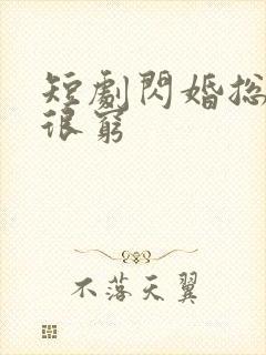 短剧闪婚总裁都很穷