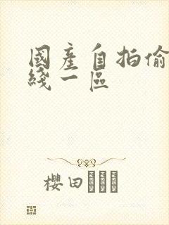 国产自拍偷拍在线一区