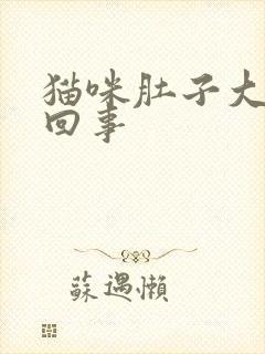 猫咪肚子大怎么回事