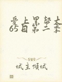 爱上黑帮大佬365日第二季