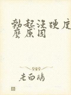 勃起没硬度是什么原因