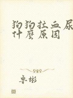 狗狗拉血尿血是什么原因