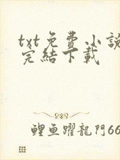 txt免费小说完结下载