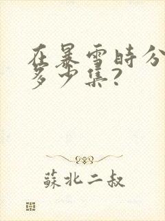 在暴雪时分一共多少集?