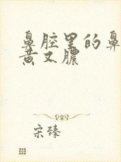 鼻腔里的鼻涕又黄又脓