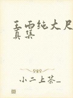 王雨纯大尺度写真集封面