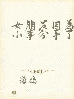 女朋友因为一些小事分手了怎么挽回