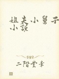 姐夫小舅子同志小说