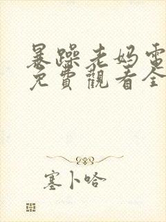 暴躁老妈电视剧免费观看全集