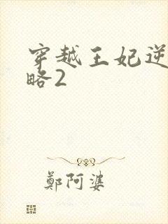 穿越王妃逆袭攻略2