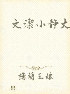 文洁小静大结局封面