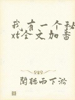 我有一个秘密txt全文加番外