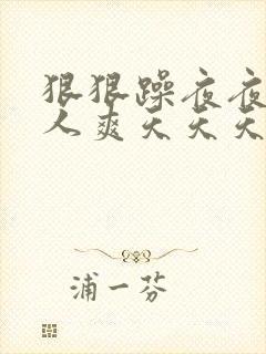 狠狠躁夜夜躁人人爽天天天天97