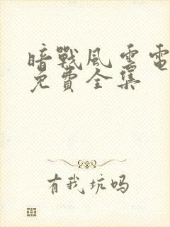 暗战风云电视剧免费全集