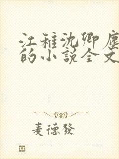 江稚沈卿尘江瑶的小说全文免费阅读最新